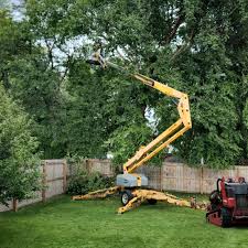 Best Leaf Removal  in Pen Mar, PA