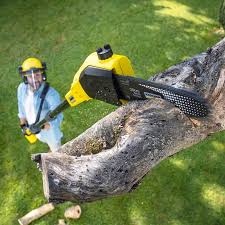 Lawn Irrigation Installation and Maintenance in Pen Mar, PA