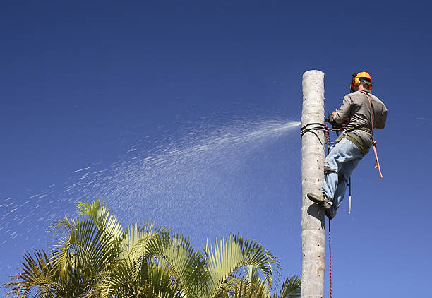 Best Tree Risk Assessment  in Pen Mar, PA